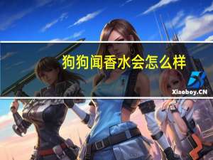 狗狗闻香水会怎么样