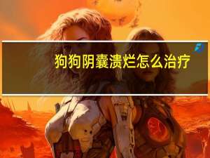 狗狗阴囊溃烂怎么治疗