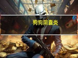狗狗阴囊炎