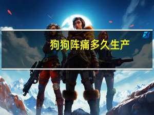 狗狗阵痛多久生产