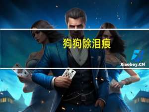 狗狗除泪痕