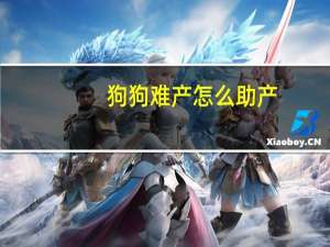 狗狗难产怎么助产