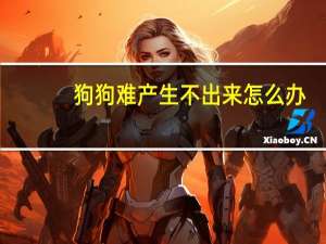 狗狗难产生不出来怎么办