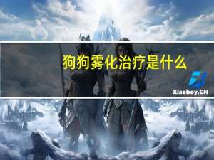 狗狗雾化治疗是什么