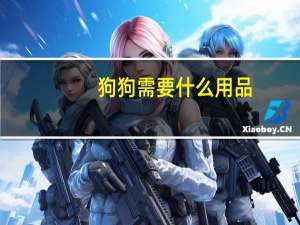 狗狗需要什么用品