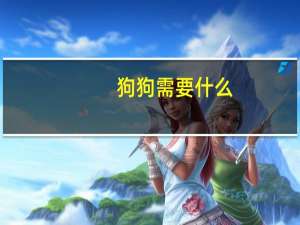 狗狗需要什么