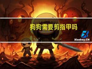 狗狗需要剪指甲吗