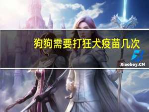 狗狗需要打狂犬疫苗几次