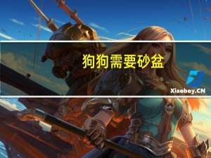 狗狗需要砂盆