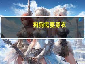 狗狗需要穿衣