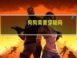 狗狗需要穿鞋吗