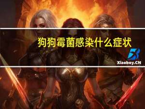 狗狗霉菌感染什么症状