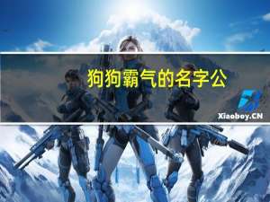 狗狗霸气的名字公