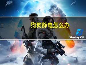 狗狗静电怎么办