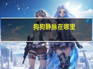 狗狗静脉在哪里