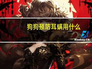 狗狗预防耳螨用什么