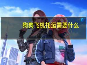 狗狗飞机托运需要什么