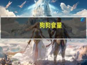 狗狗食量