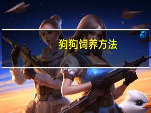 狗狗饲养方法