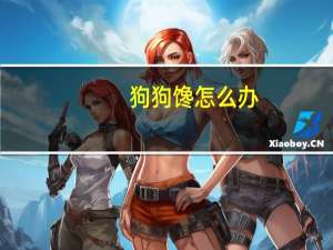 狗狗馋怎么办