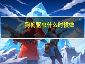 狗狗驱虫什么时候做