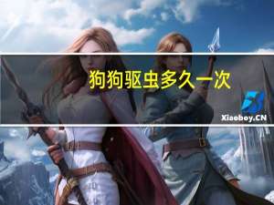 狗狗驱虫多久一次