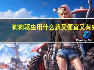 狗狗驱虫用什么药又便宜又有效