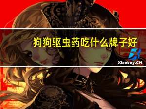 狗狗驱虫药吃什么牌子好