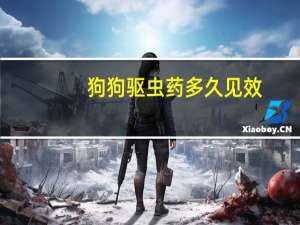 狗狗驱虫药多久见效