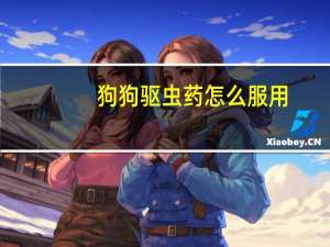 狗狗驱虫药怎么服用