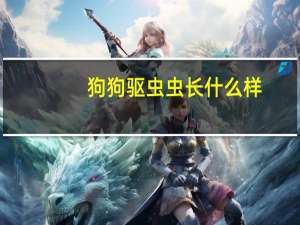狗狗驱虫虫长什么样