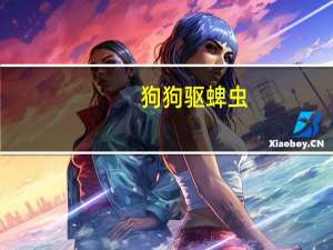 狗狗驱蜱虫