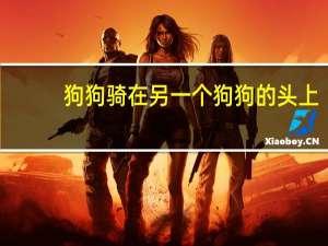 狗狗骑在另一个狗狗的头上