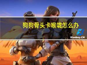 狗狗骨头卡喉咙怎么办