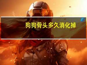 狗狗骨头多久消化掉