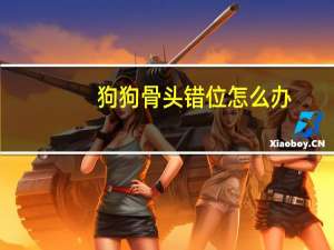 狗狗骨头错位怎么办