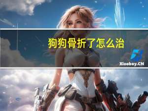 狗狗骨折了怎么治