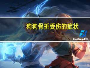 狗狗骨折受伤的症状