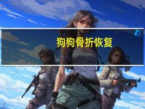 狗狗骨折恢复