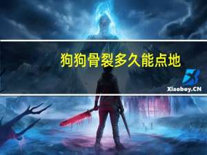 狗狗骨裂多久能点地