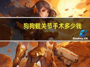 狗狗髋关节手术多少钱
