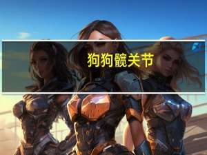 狗狗髋关节
