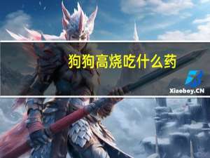 狗狗高烧吃什么药