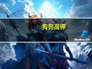 狗狗高钾
