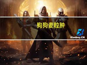 狗狗麦粒肿