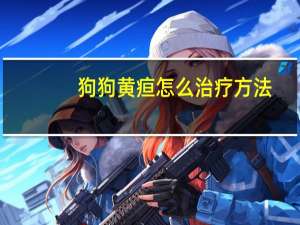 狗狗黄疸怎么治疗方法