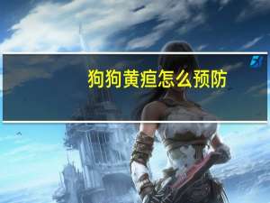 狗狗黄疸怎么预防