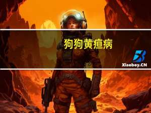 狗狗黄疸病