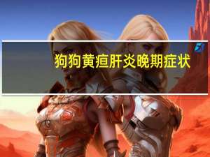 狗狗黄疸肝炎晚期症状