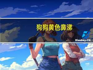 狗狗黄色鼻涕